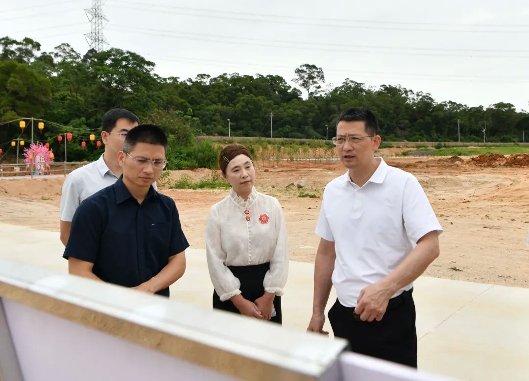 县委主要领导调研重点项目建设并检查防汛备汛、安全生产工作