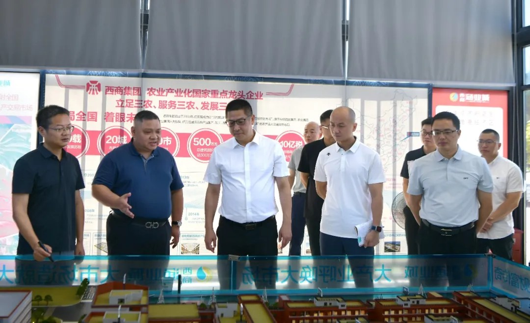 县政府主要领导赴崇武镇开展“四下基层”现场调研